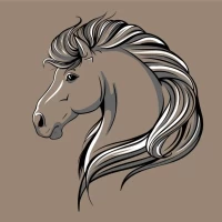 属马今日财运方位查询：穿搭旺财指南