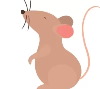 麦玲玲2025生肖鼠运势解析:三大财富密码公开