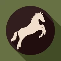 1978年属马人2025年运势解析:事业财富健康全指南