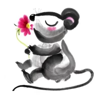 属鼠人今日运势解析:财运健康全攻略