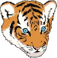 2025年生肖今日运势全解析：精准掌握每日吉凶