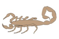 天蝎座2025年运势全解析：3大转折+财富清单必看！