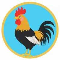 1981年属鸡和什么属相最配:1981年属鸡和什么属相最配对