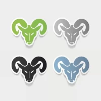 白羊座2025年运势全解析：事业爱情双丰收