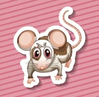 今日生肖鼠财运方位解析:麻将赢钱必看攻略