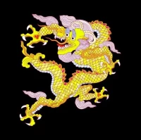 2025生肖运势解析：每月运程完整指南