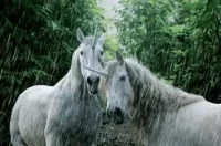 2025每日运势查询指南:吉日宜忌全解析