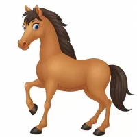 今日生肖马的运势如何：生肖马感情避免争执